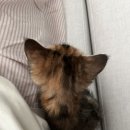 처음동물병원 이미지