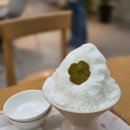 분당우유 | 분당 야탑역 빙수 맛집 카페 데일리오아시스에서 고소한 우유빙수 솔직후기