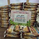 행운수산