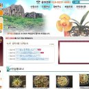 한국춘란전문난원