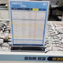 효자동안경원 이미지