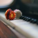 피아노 기본 이미지