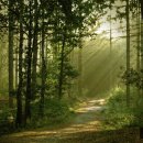 새벽아침농장 이미지