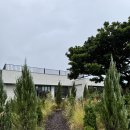 까페모먼트 이미지