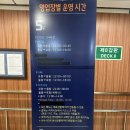 엘도라도 | 울릉도에서 포항까지 울릉크루즈 탑승 후기｜엘도라도 결항 대체 여객선 리뷰 &amp; 내부시설 총정리