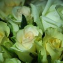 홍운농장 이미지