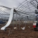 연동2농장 이미지