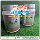 천마약초 | [상품리뷰] 천마분말 활용한 천마먹는방법, 삼도봉 천마로 건강 챙기는 천마레시피 후기