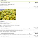 원애농장 | 우매보시용 매실 구매: 빛그린 광양매실(황매실구매)