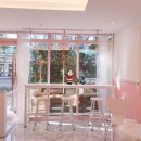 순수하개 이미지