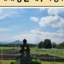 자연 애개 이미지