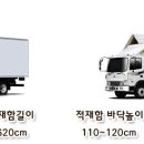 부흥화물
