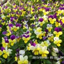 선산대로10-10 이미지