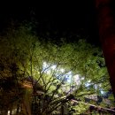 대명영양탕 이미지