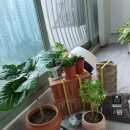 (주)펫앤조이 이미지