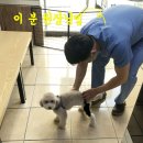 리치동물병원 이미지