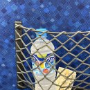 메이동동 | 해달 메이짱 키라짱 덕후의 미에현 도바수족관 방문 후기(스압 주의...)