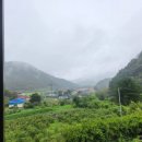 병원은 왜 건강검진 과잉검사 과잉치료 하는 것일까 자본주의는 법적 문제 되지 않는다면 수단 방법을 가리지 않는다 이미지