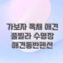 가평가보자독채애견풀빌라수영장 | [애견 동반 펜션 추천] 가평 가보자 독채 애견 풀빌라 솔직 후기