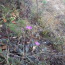 성거읍성거초교앞 이미지