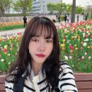 보고봄 | 서울식물원 튤립 겹벚꽃 수선화까지 한 번에 보고 온 봄나들이 후기