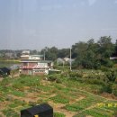 정발산역 이미지