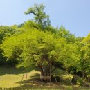 용담한약국 이미지