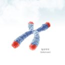 바이오랩 주식회사 이미지