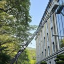 부산외국어대학교 | 부산단열필름 외부용 부산외국어대학교 열차단극대화로 무더위 해결!!