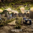 예단상조 이데일리