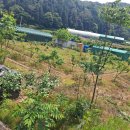 (경남고성부동산)영현면/ 컨테이너농막과 하우스,저온창고가 있는 농지매매/ 1,414제곱미터(427)/6천만원 이미지