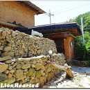 위양지 관광농원 이미지