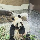 오늘. 한끼 이미지