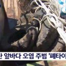 양심타이어 이미지