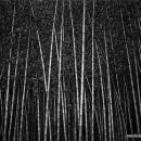 저 너머 달빛 이미지