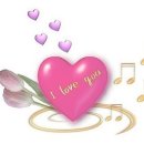 바다사랑투 이미지