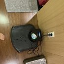 제동탕 | 제주도 세신잘하곳 터미널근처 아스타호텔사우나