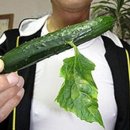 선진에너지 태양광발전소 이미지