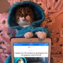 몽글몽글# 이미지