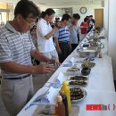 도사산촌마을 뉴시스