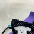 유주메디칼 | 청주 취미 운동 추천 오하운폴댄스 폴린이 솔직후기