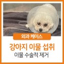 정평동물병원 이미지