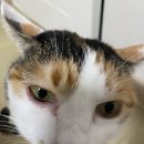 소담동물병원 이미지