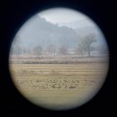 김천시민농약마트 | [내돈내산]나혼자 기차 타고 순천 여행 1박2일(3) - 흑두루미가 다 했다. (순천만 습지, 철도박물관...