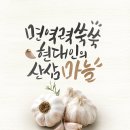 (주)바른건강