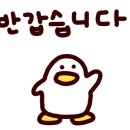 양양팜서프 이미지