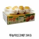 벧엘농원 이미지