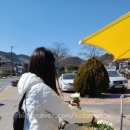 봉하마을 공영주차장　 이미지