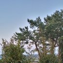 소서제주 7월2일 이미지