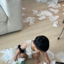 햇덧 | #188 이번주 일상